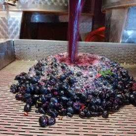 succo per il Rosato