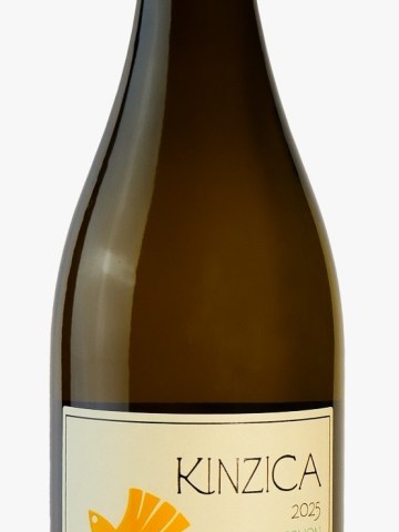 Kinzica